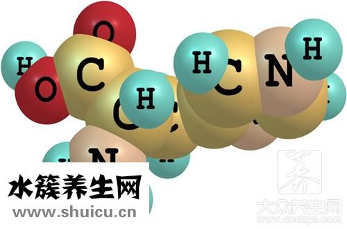 轉基因食品十大危害