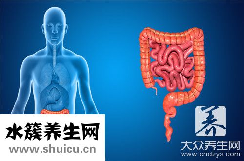 普通腸鏡