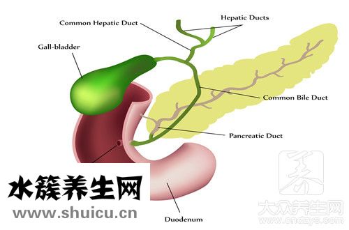 肝內膽管結石會自愈嗎