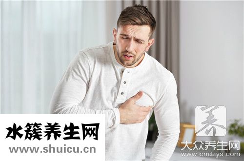 原始心管搏動
