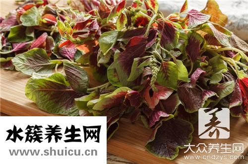 馬齒莧治白斑