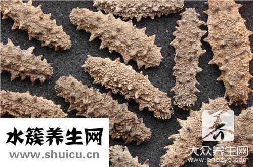 發好海參保存