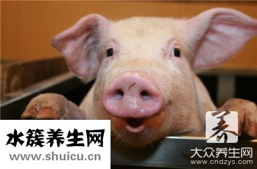 豬肚雞湯