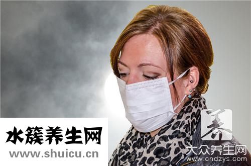 鵝種類
