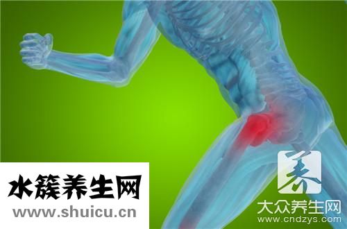 髖關節治療