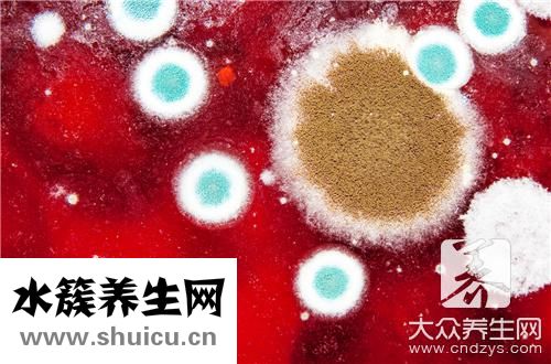 墻面發霉