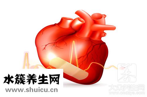 五臟生理功能