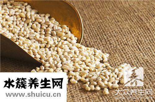 炒薏米泡水能天天喝嗎