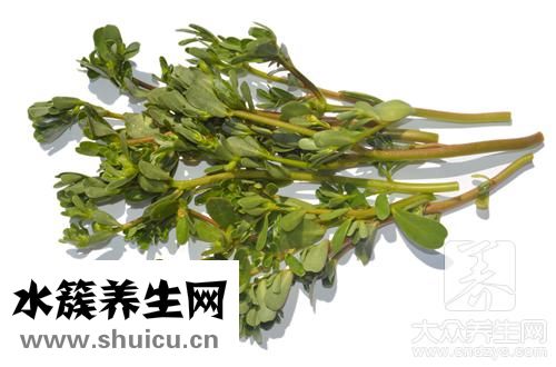 冬寒菜稀飯