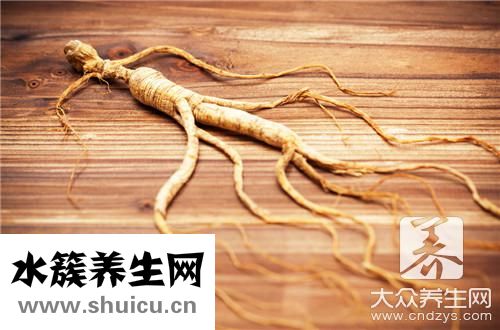 西洋參什么季節最好
