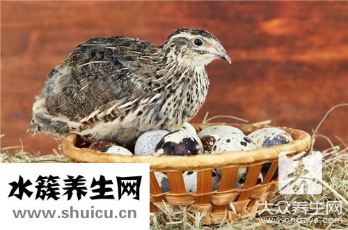 紅燒鵪鶉蛋