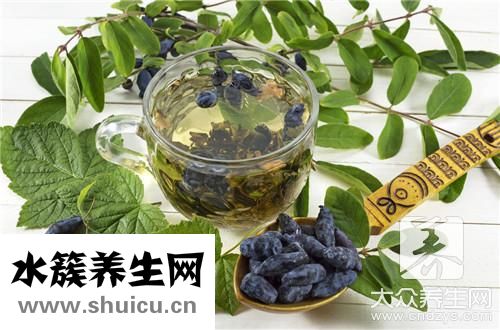 麥冬是什么