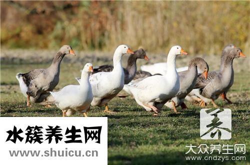 香酥鴨法