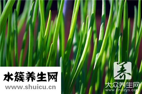 韭菜羊肉水餃