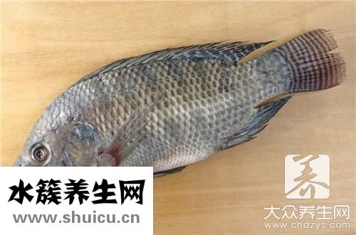 黃姑魚法