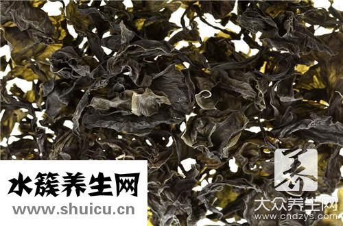 孕婦能紫菜嗎