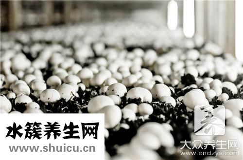 自制酵素法