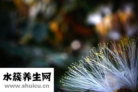 腰椎穿刺疼嗎