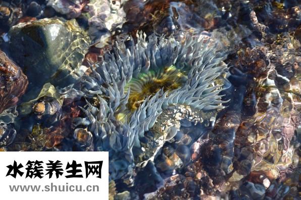 生二胎的壞處