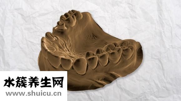 牙齦萎縮修復