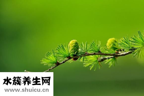 惡露是什么