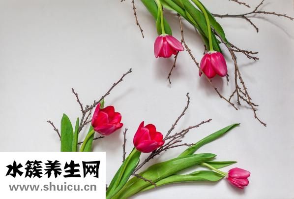 鱗狀細胞癌