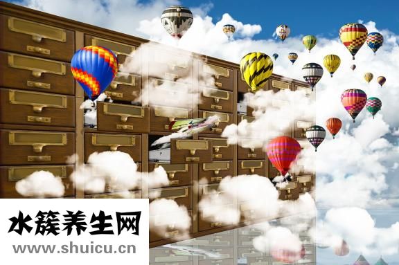 養血安神片成分