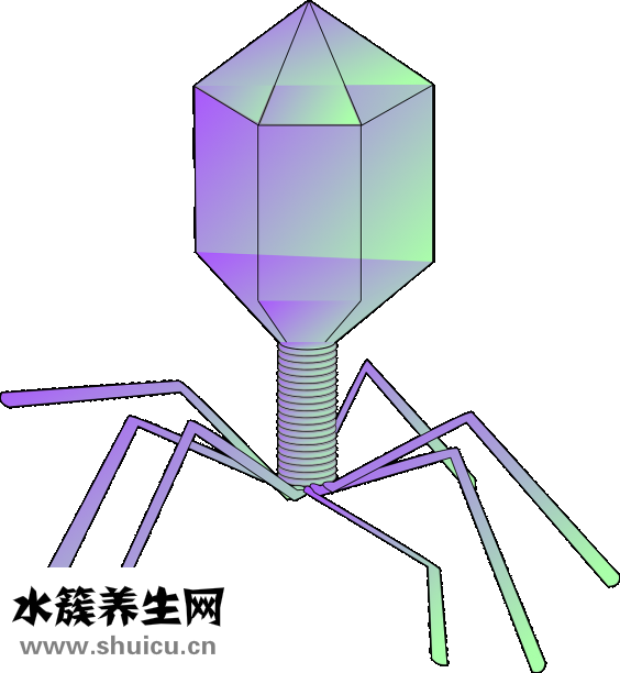 人體微量元素