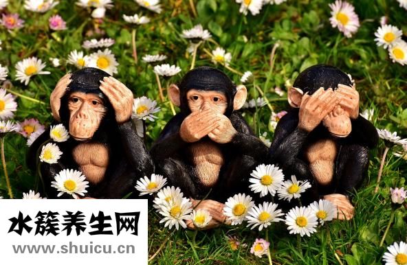 什么是富貴包