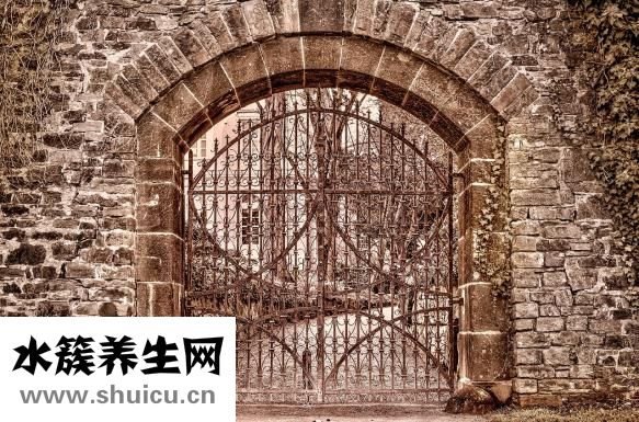 四價疫苗價格