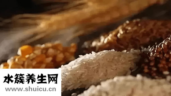 五谷豆漿配方大全