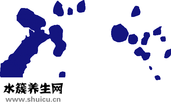 什么食物含鉀