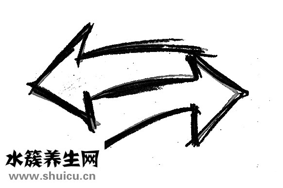 頭上疤痕植發