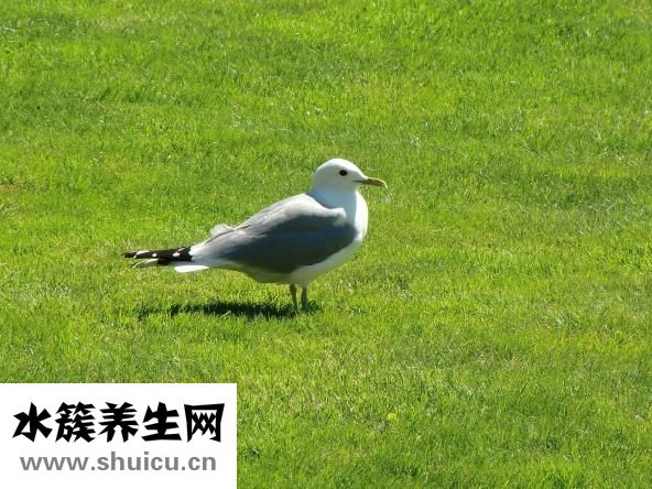 怎么消除靜電