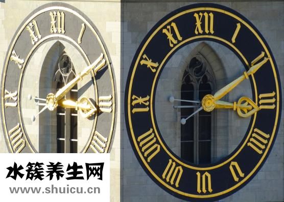 如何制作蛋撻
