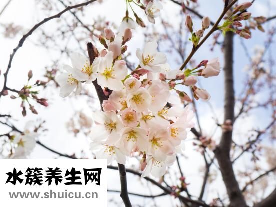 一肘是多少米