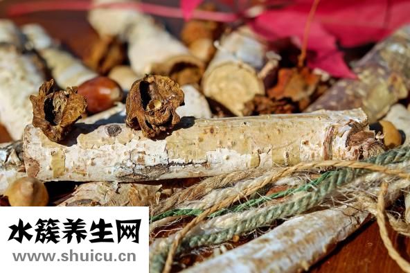 壓力性損傷分期