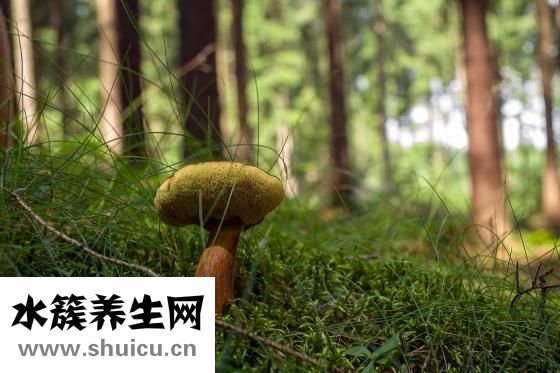 尤魚湯制作
