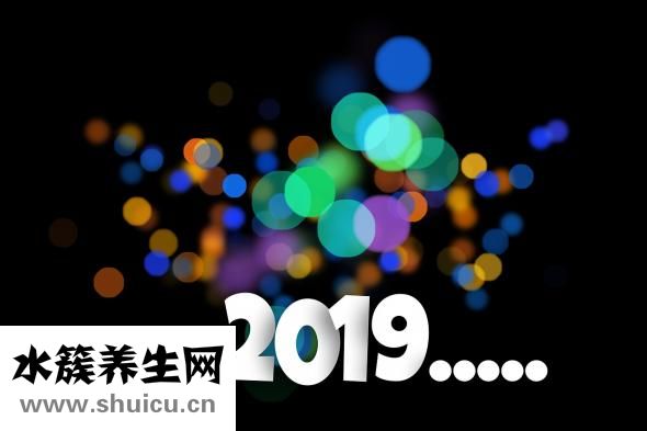 早孕檢查時間