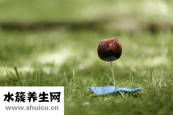 孕吐時間看男女