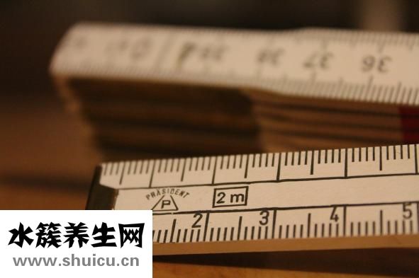 體溫計量程