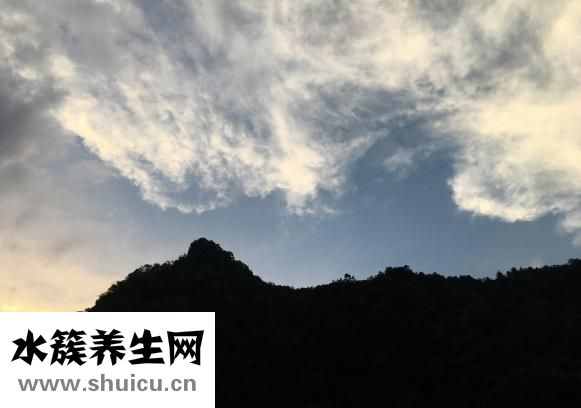 坐骨神經損傷