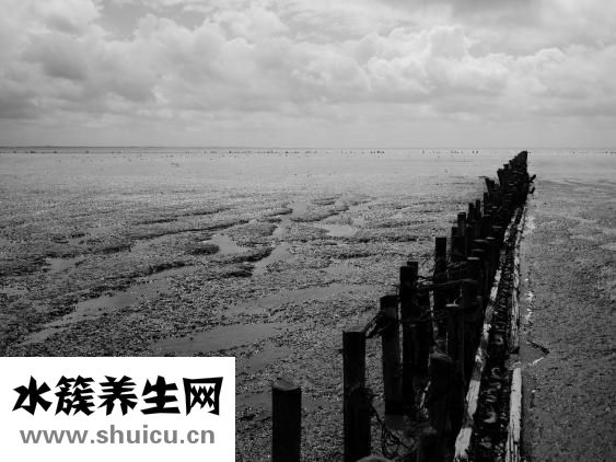 怎么去除斑點