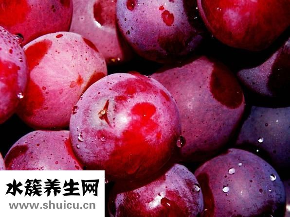 孕婦去毒湯