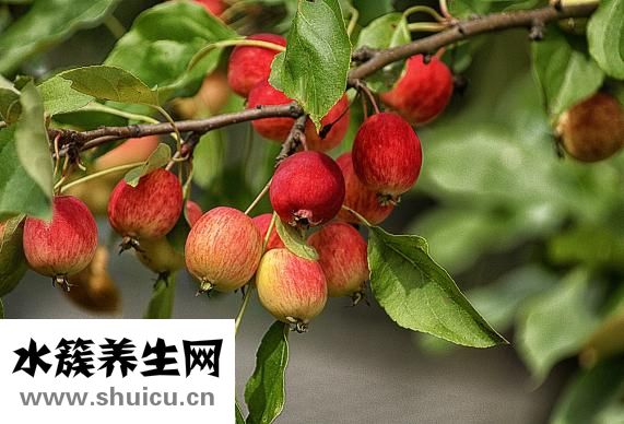 怎么控制血糖