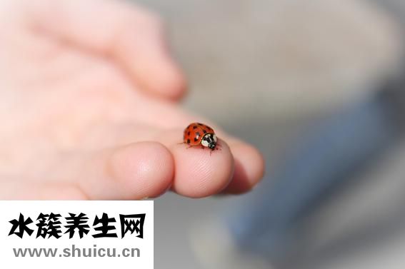 手指肌腱斷裂