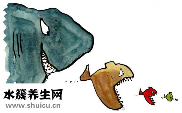 孕婦做春夢