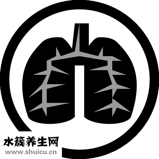 雙眼皮膠水