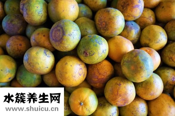 斑鳩是鴿子嗎