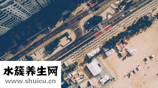 屋里潮濕怎么解決